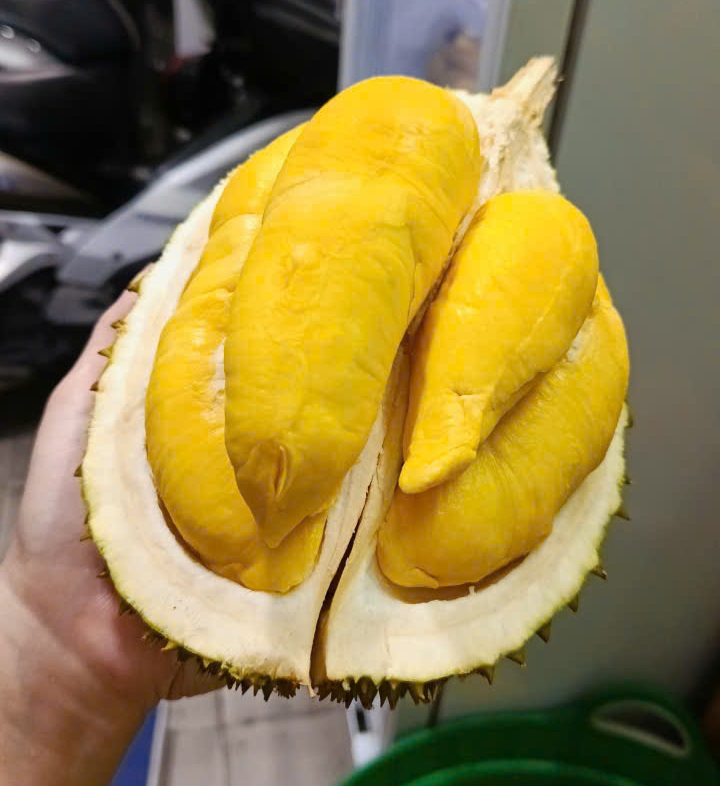 Quả sầu riêng musang king